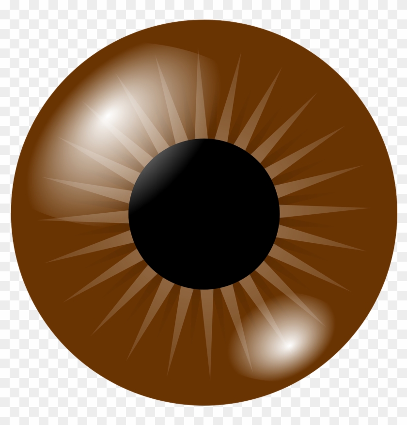791 X 720 4 - Brown Eye Clipart Png Transparent Png