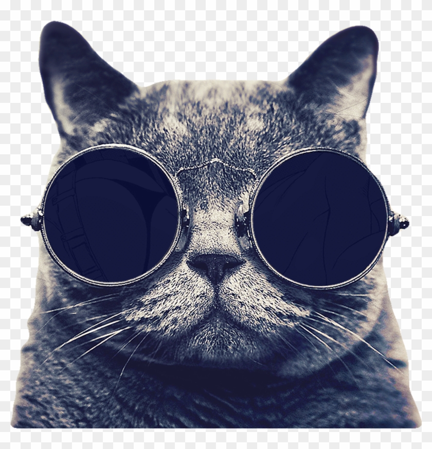 Download - Shorthair British Cat Hd Clipart #95810