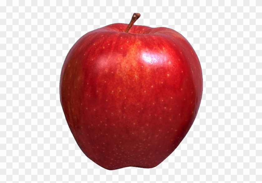 Free Download Christine Staniforth Fruits Vegetales - Seedless Fruit Clipart