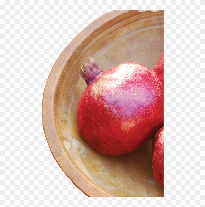 A Past And Future Treasure - Pomegranate Clipart #98695