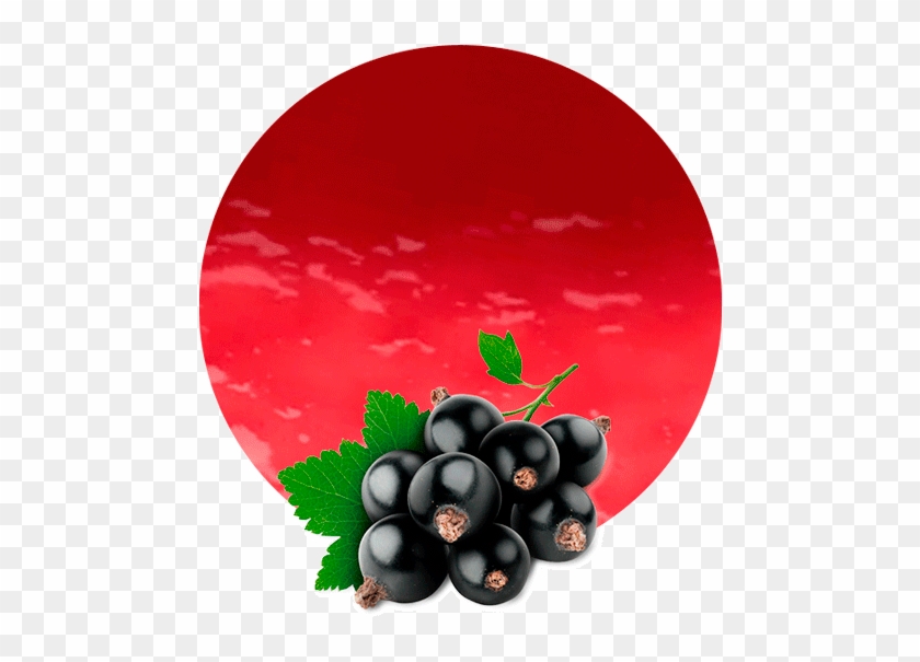Blackcurrant Pomace - Black Currant Fruit Png Clipart #98821