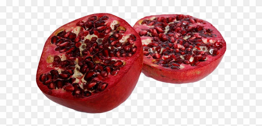 Growing Pomegranate - Increase Sperm Count Ayurveda Clipart