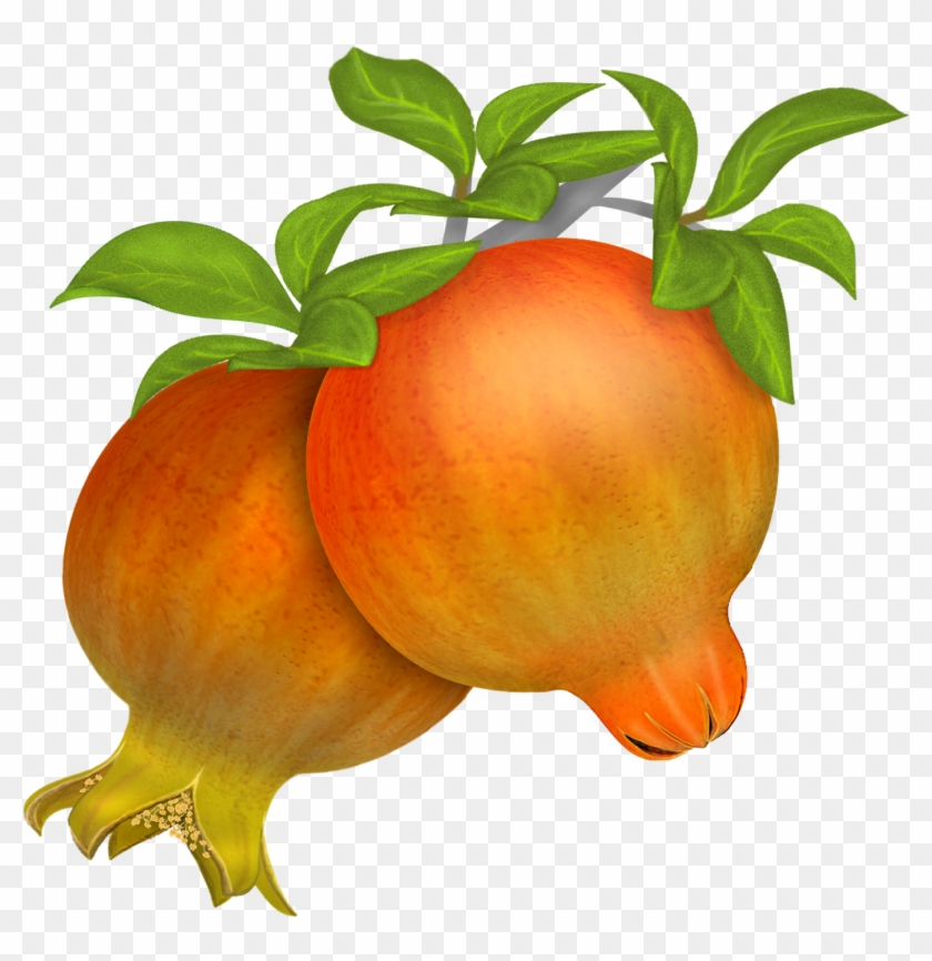Free Pomegranates Vector Png - Pomegranate In Vector Clipart