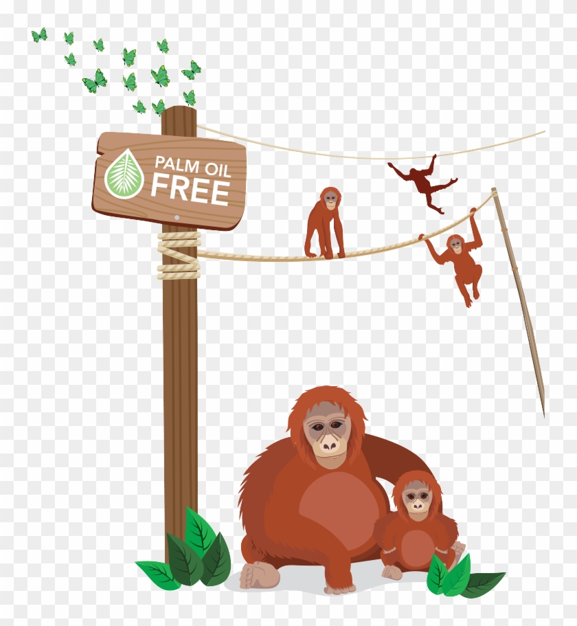 Use The Links Under Useful Sources Of Information To - Palm Oil Cartoon Clipart