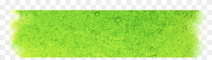 Header-bg - Green Background Hd Png Clipart