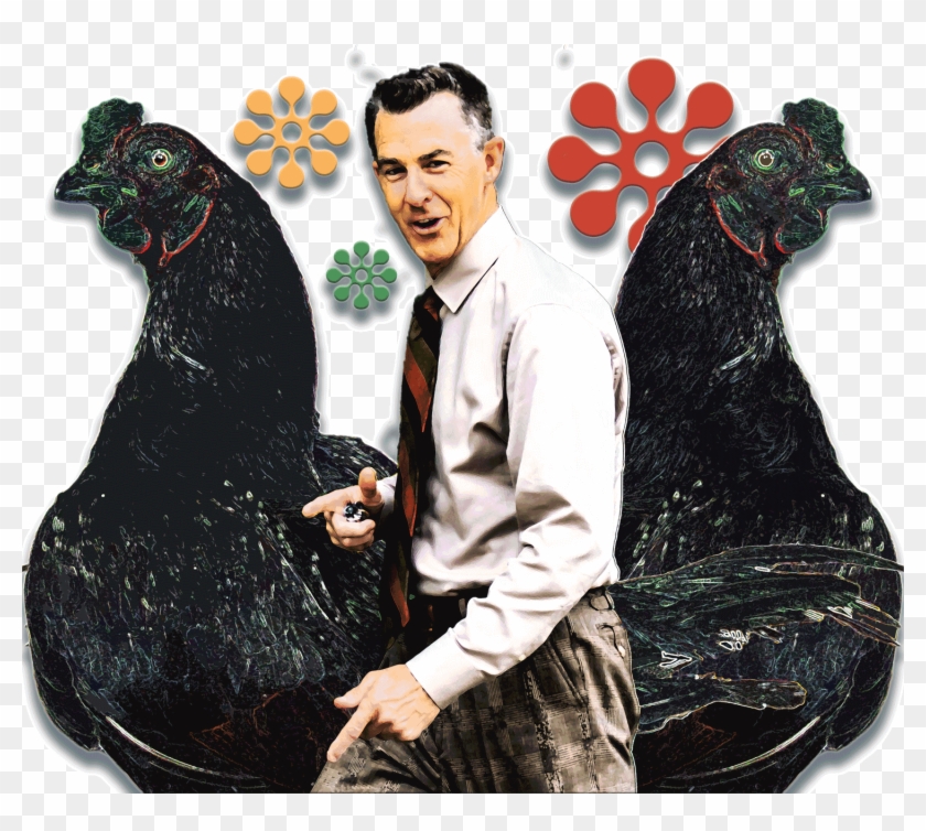 Brightly Colored Photo Collage Of The H - Sitting Clipart