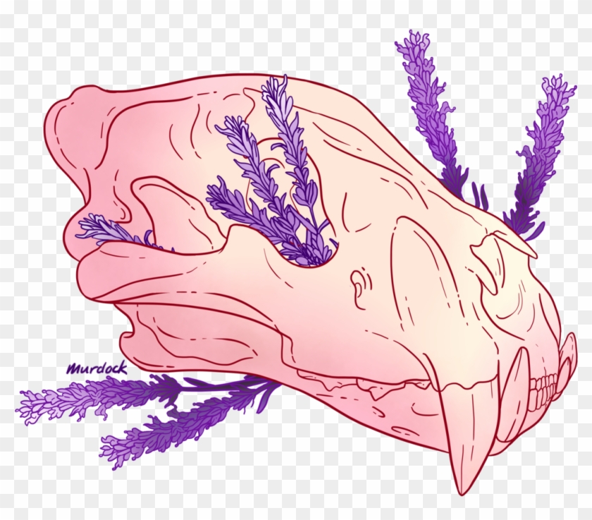 Tumblr Transparent Pastel Skull Tumblr Transparent - Illustration Clipart #904470