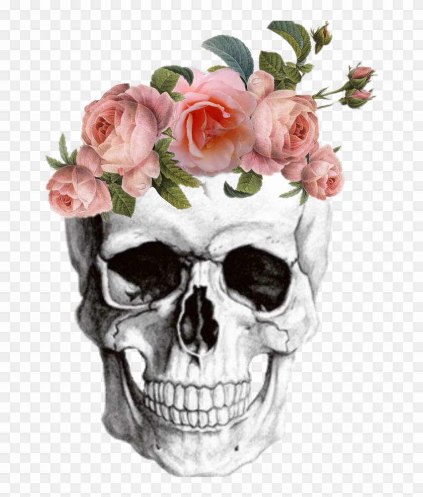 Anatomy Skull Skullsticker Flowers Tumblr - Middle School Shading Worksheet Clipart #904525