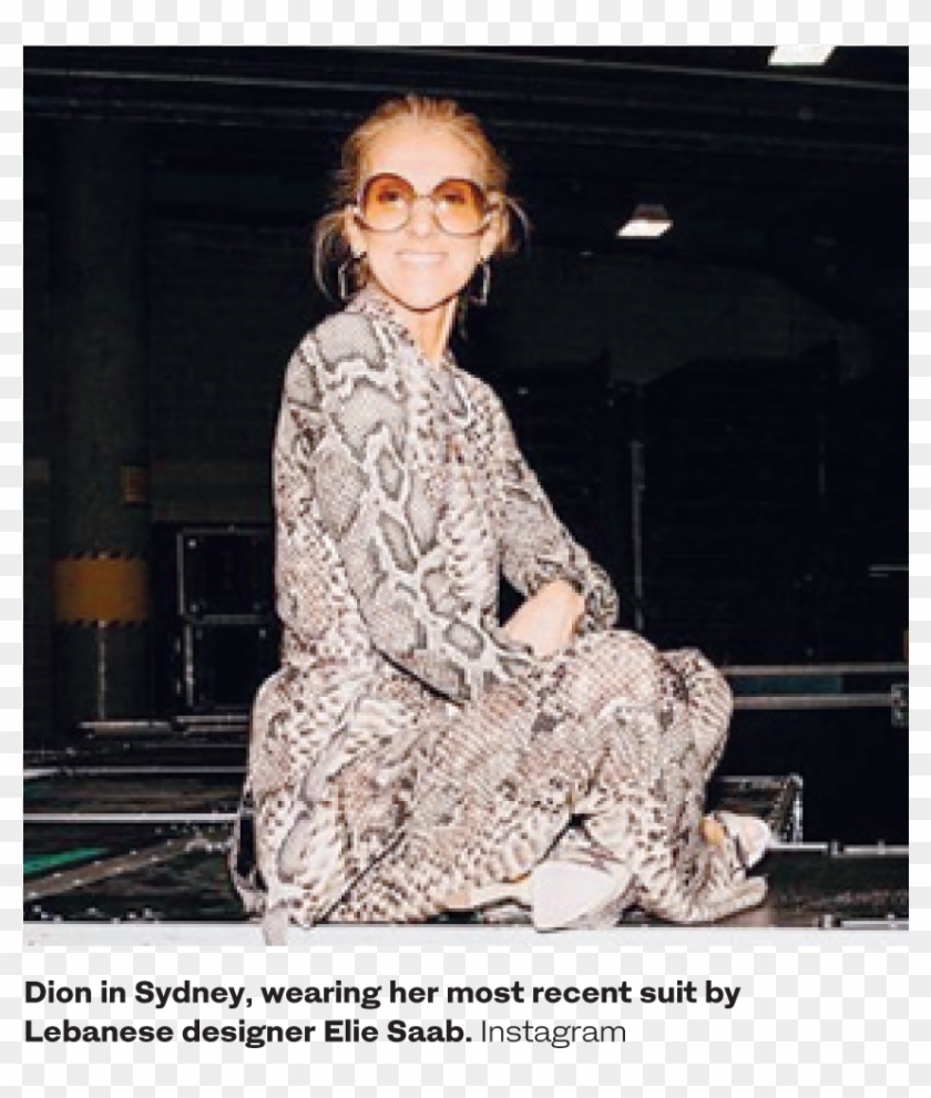 Lebanese Designers Suit Celine Dion - Celine Dion Clipart #904998