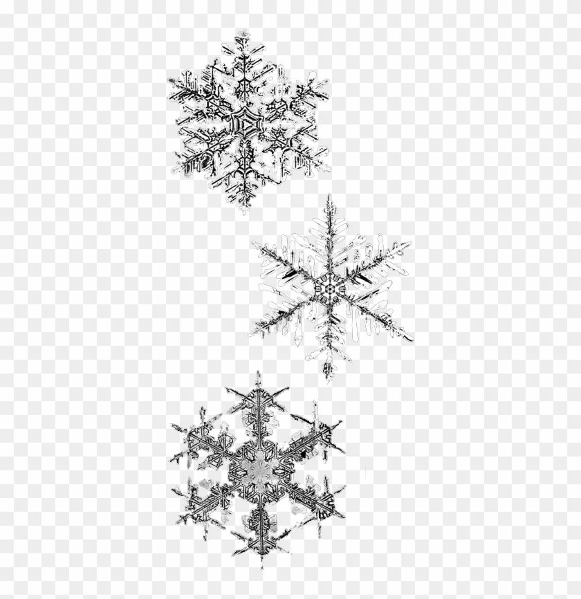 Drawn Snowflake Png Tumblr - Winter Png Clipart #905212