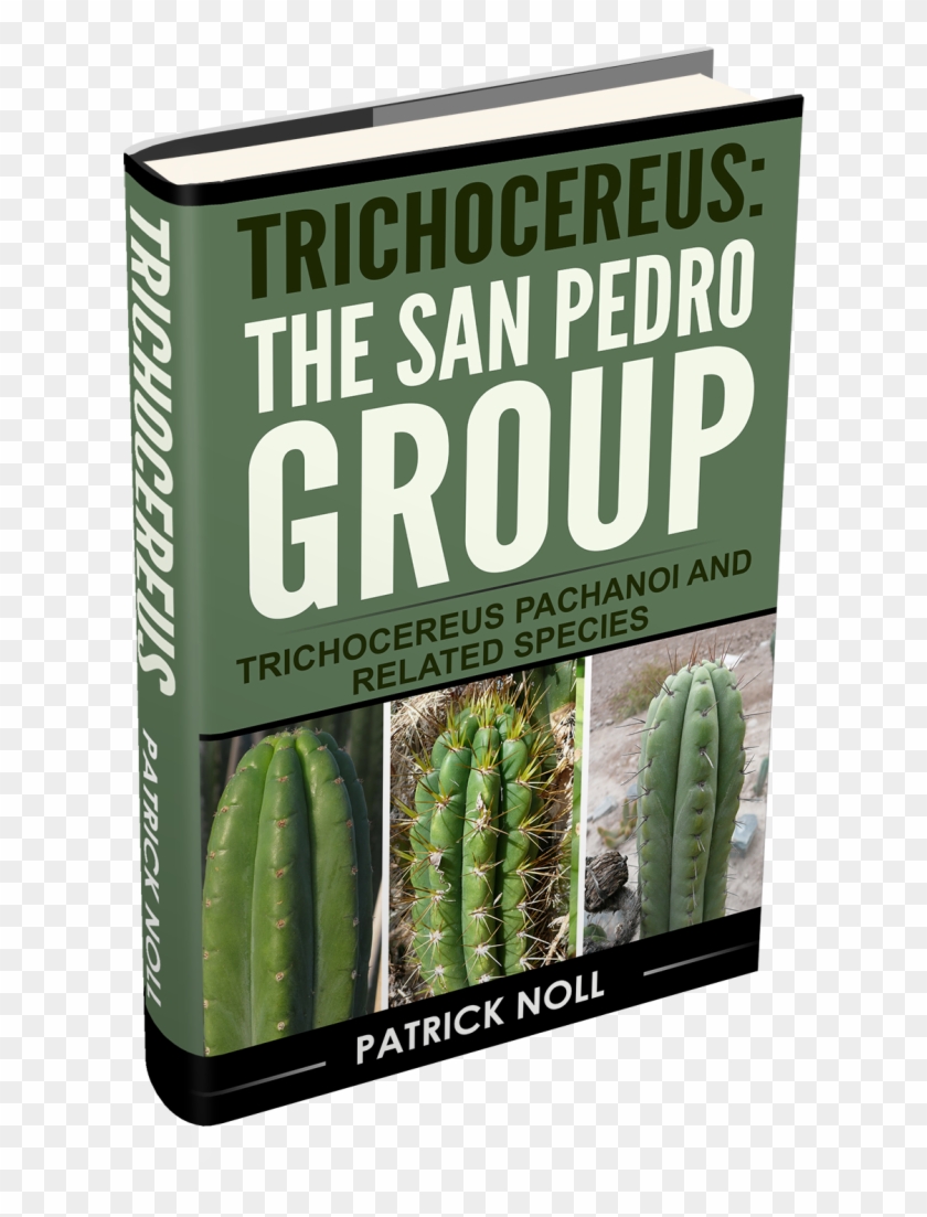 Weberocereus Clipart #905442