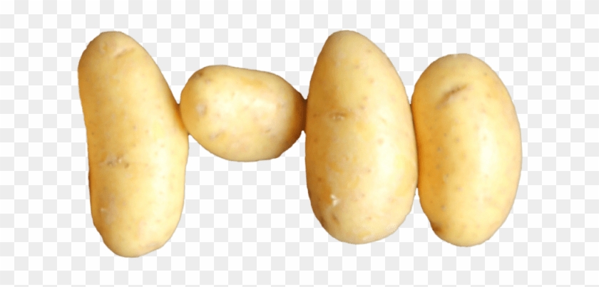 Idaho Potato - Russet Burbank Potato Clipart