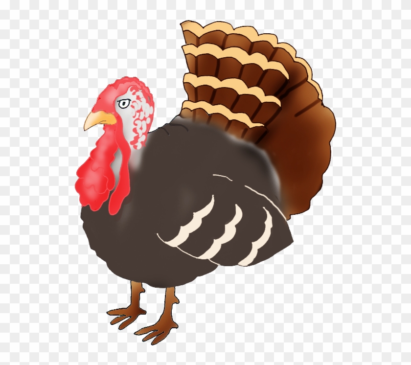 Drawn Turkey Transparent - Thanksgiving Clipart