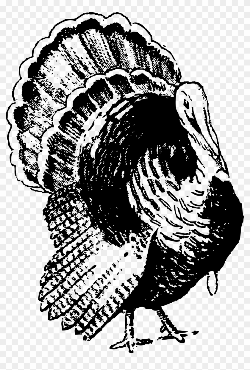 Big Image - Free Clipart Images Black And White Turkey - Png Download