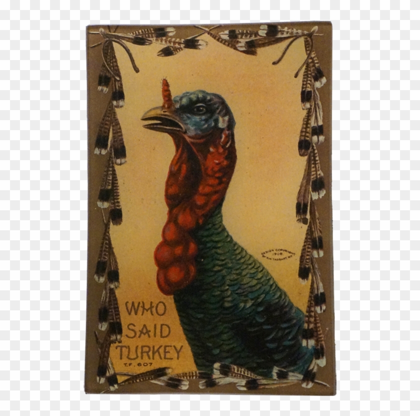 Turkey Clipart #910119