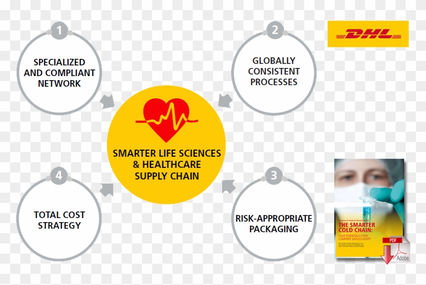 Beyond This, Emerging Best In Class Life Sciences Cold - Dhl Essentials Clipart