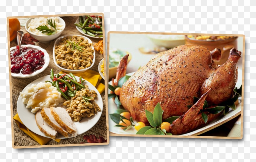 Turkey Pics - Hendl Clipart #911276