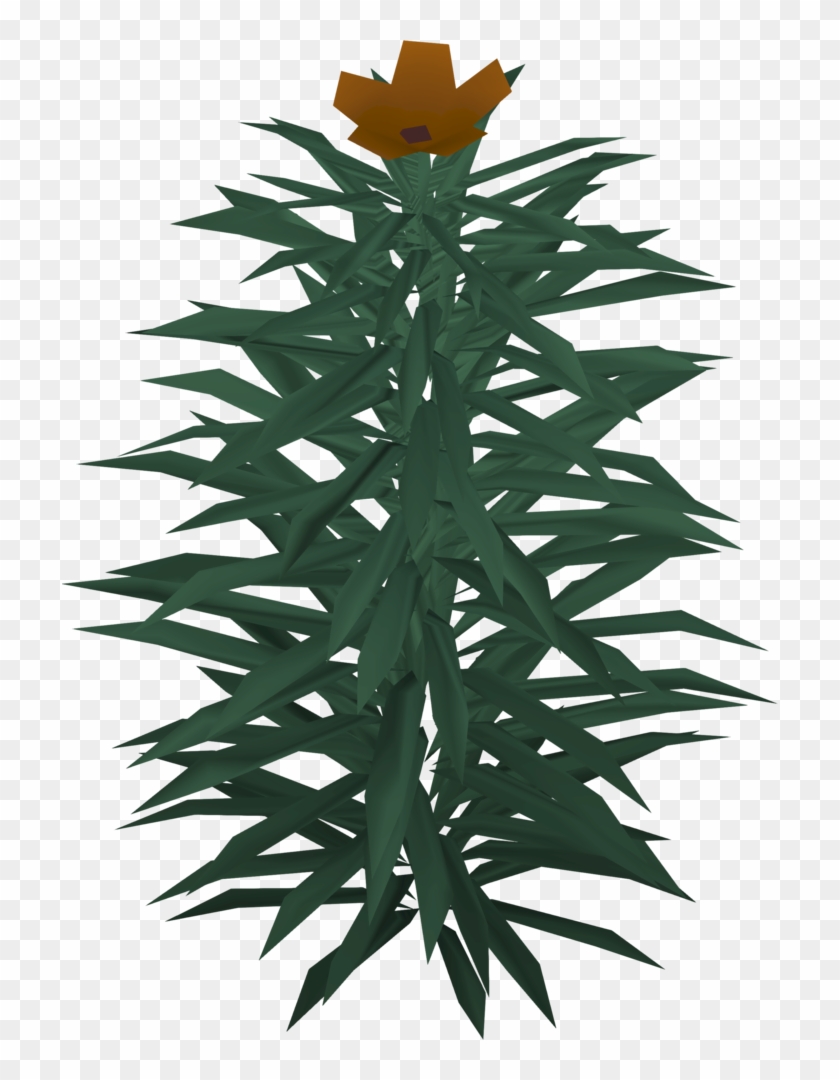 Houseplant Clipart