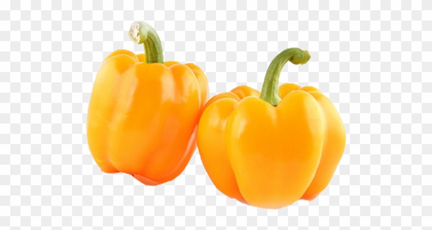 964 X 964 4 - Yellow Pepper Clipart