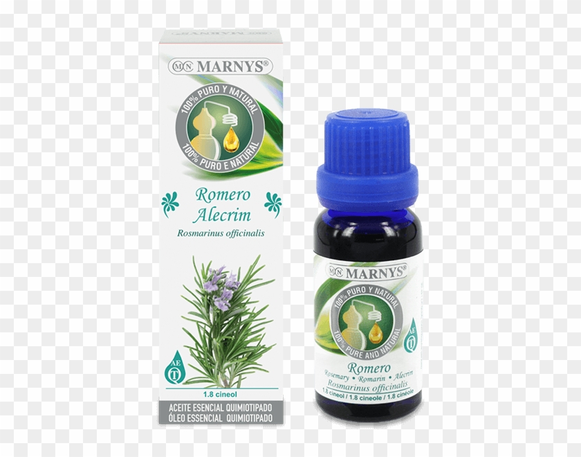 Rosemary Essential Oil - Aceite De Anis Estrellado Clipart