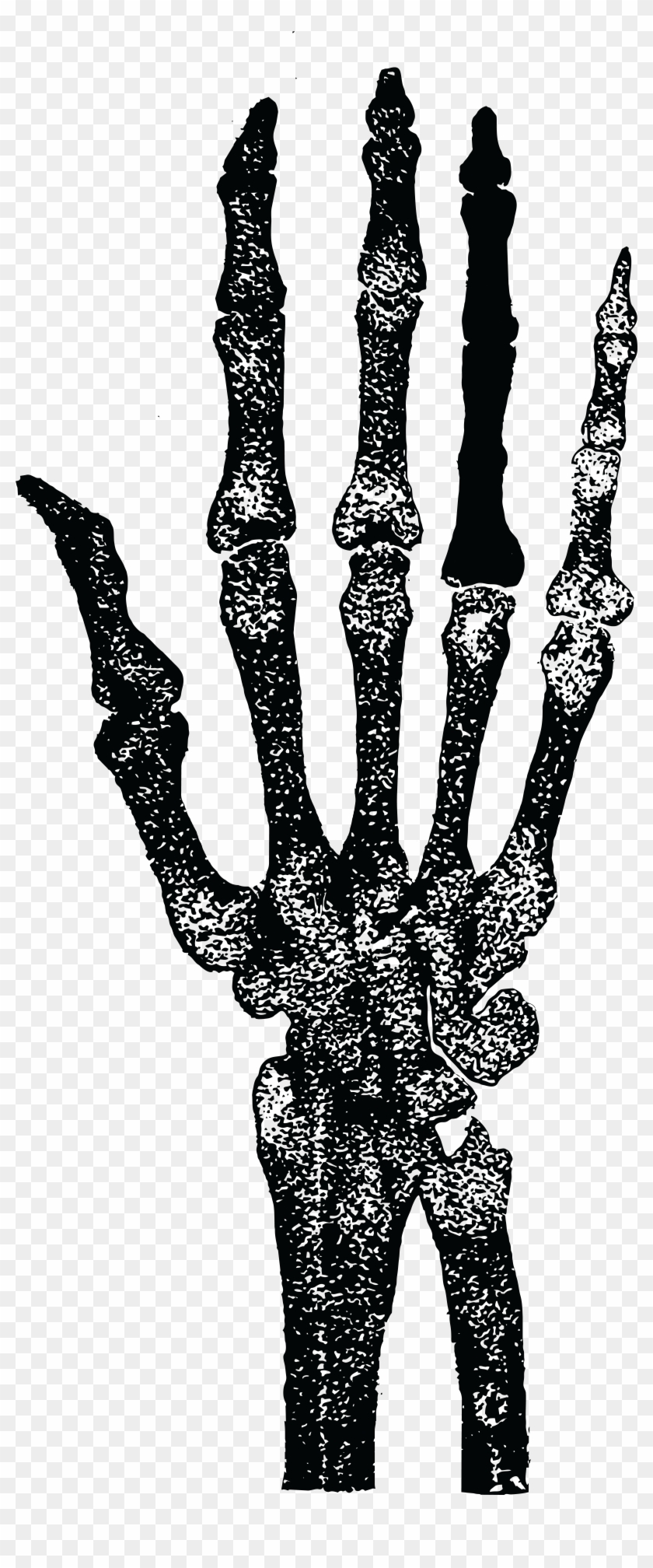 Free Of A Skeletal Hand - Skeleton Hand Clipart Png Transparent Png #913022