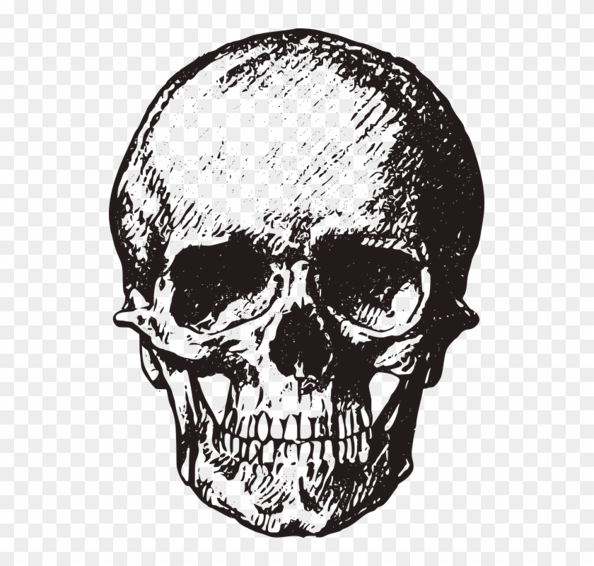 Royalty Free Transparent Skull Clipart #913938