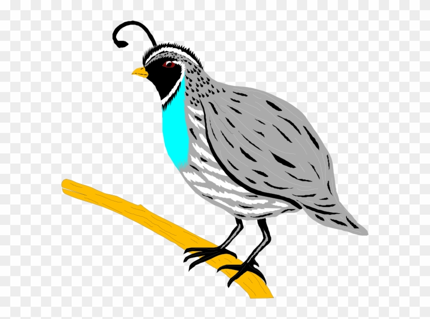 Mockingbird Clipart Hostted - Quail Clipart Png Transparent Png