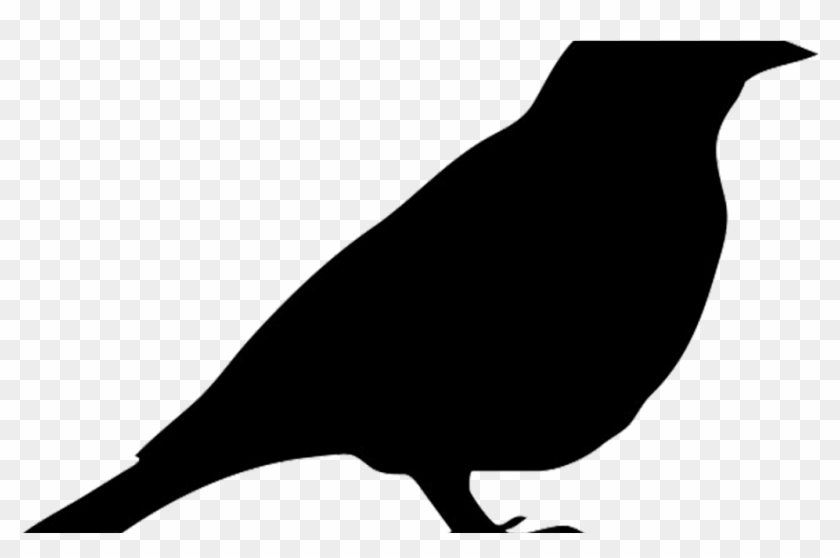 Mockingbird Clipart Robin - Oiseau Pochoir - Png Download #914264