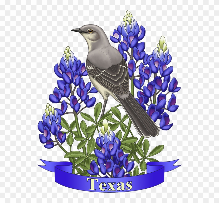 Bleed Area May Not Be Visible - Northern Mockingbird Blue Bonnet Clipart #914372
