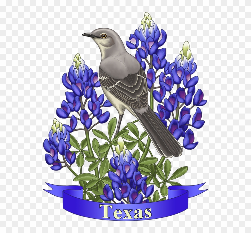 Bleed Area May Not Be Visible - Northern Mockingbird Blue Bonnet Clipart