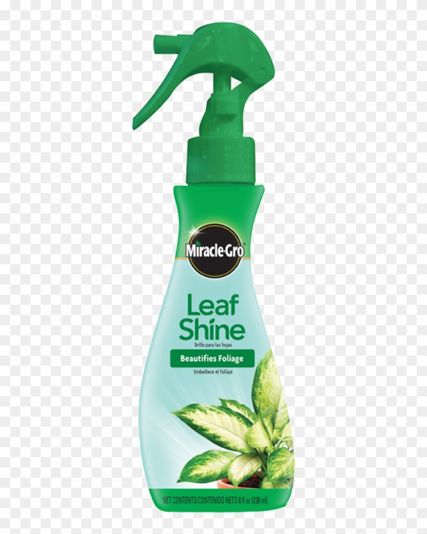 Prevnext - Miracle Gro Leaf Shine Clipart