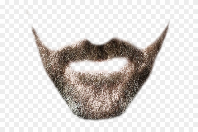 Beard Png Transparent Clipart