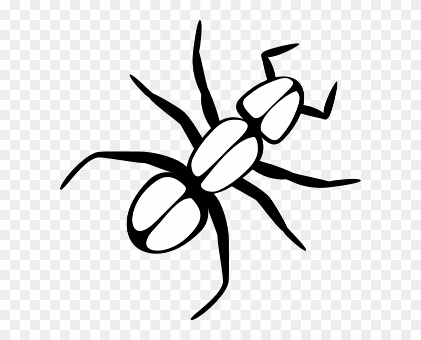 Ant Clip Art - Png Download