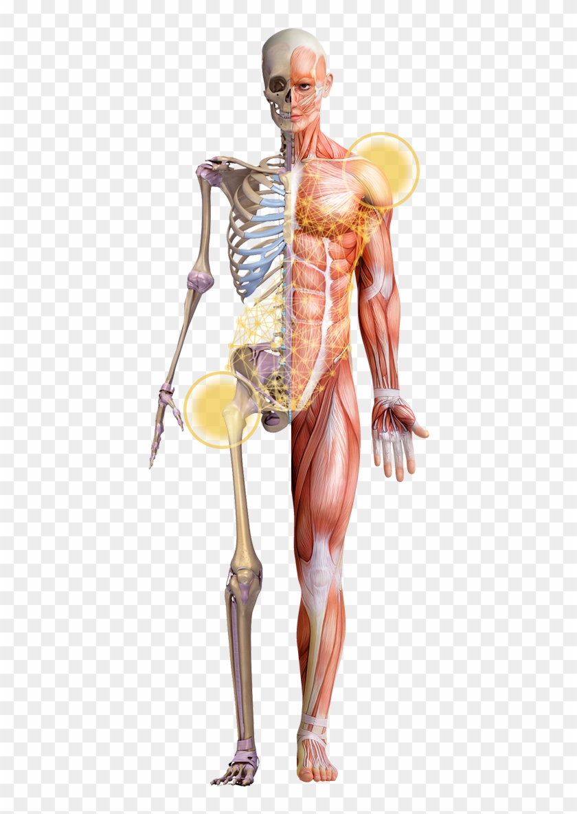 600 X 1200 6 - Illustration Clipart