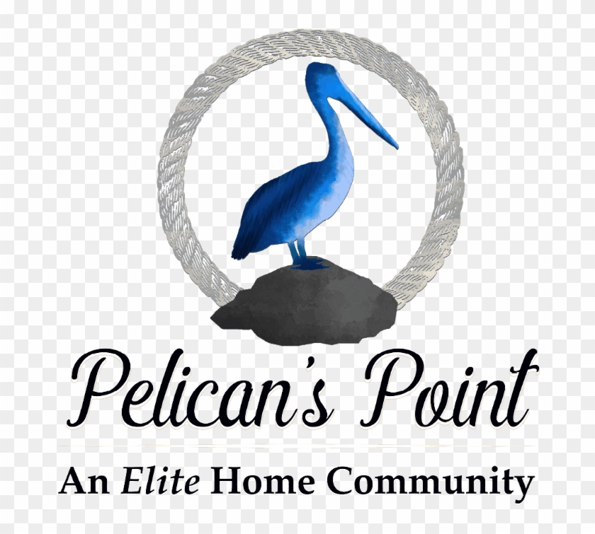 Pelican's Point - Pelican Clipart #918001