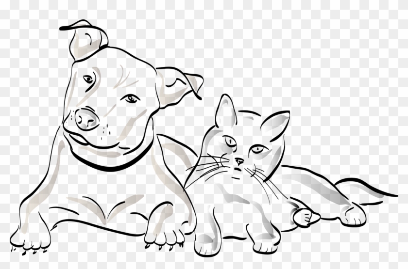 Why Dogs Kills Cats - Cat Clipart