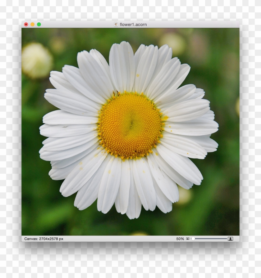 Image Library Acorn Scrapbooking Screen Shot At Pmpng - Wenn Du Mich Nicht Liebst Clipart #918675