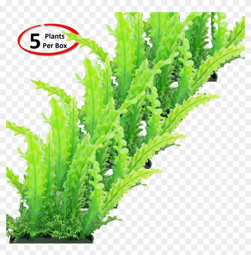 View Larger - Grass Clipart #918813