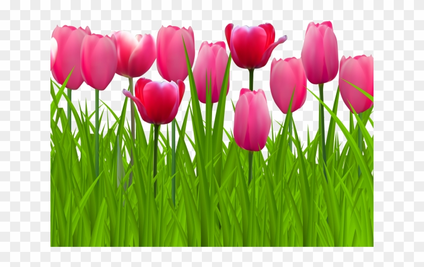Lawn Clipart Top View - Png Pink Tulip Transparent Png
