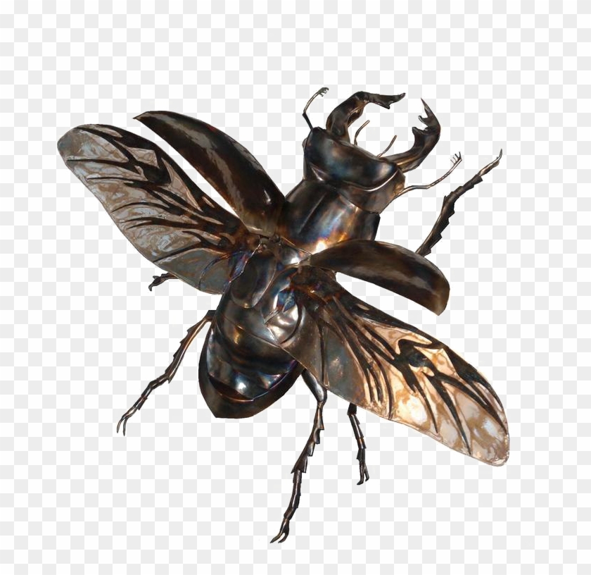 Flying Bug Png - Stag Beetle In Flight Clipart