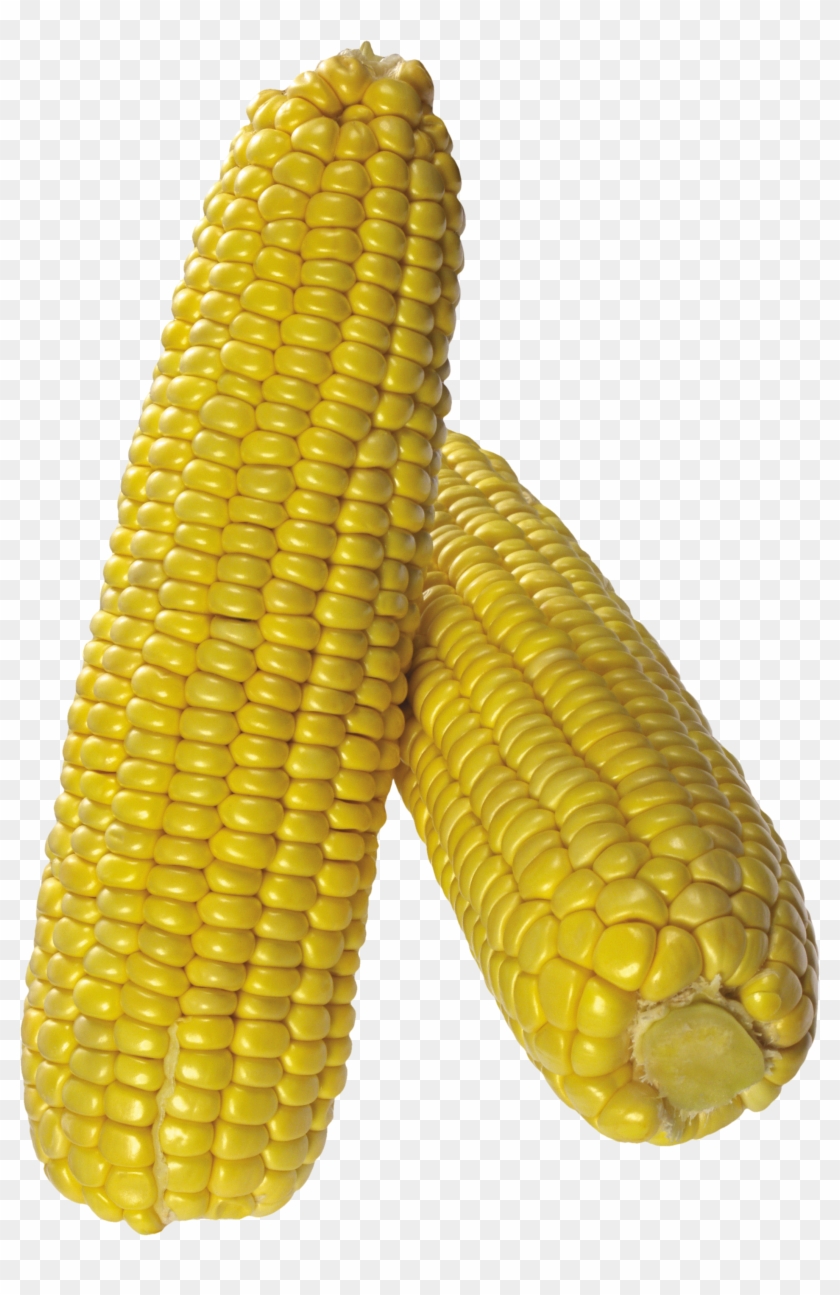 Corn Png Image Clipart #920236