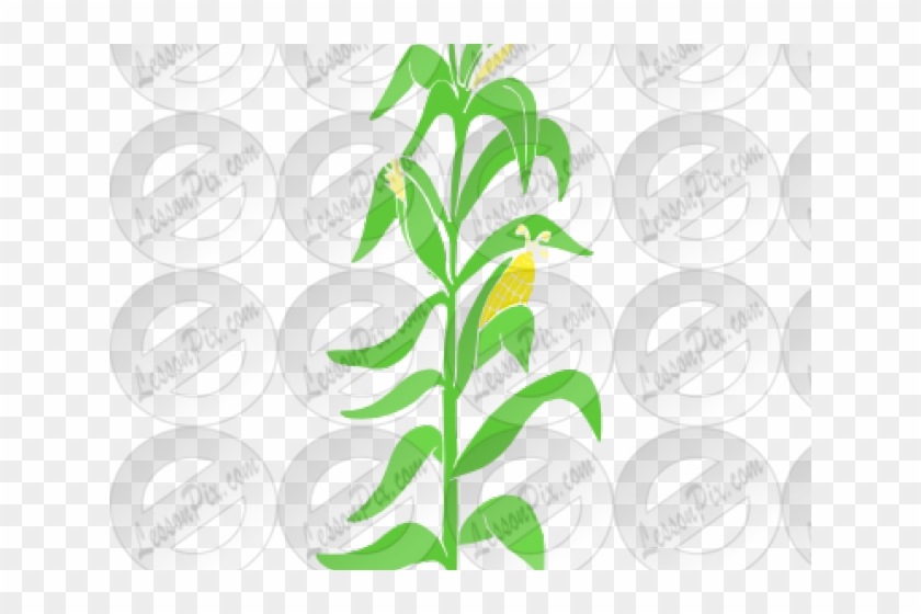 Clip Art - Png Download #920629
