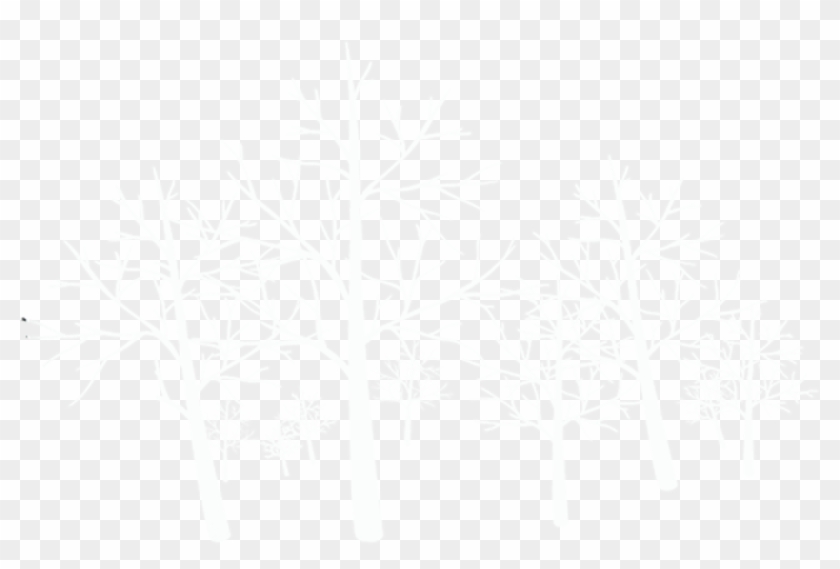 1542 X 972 7 - Tree Clipart