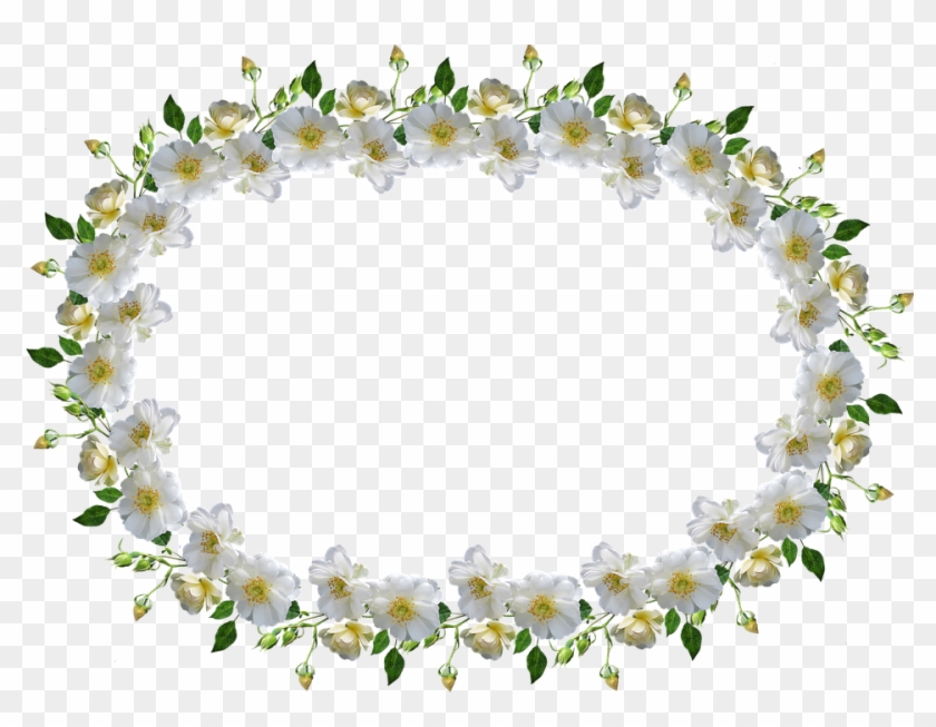 Frame, Border, White Rose, Floral - Bingkai Bunga Mawar Putih Clipart