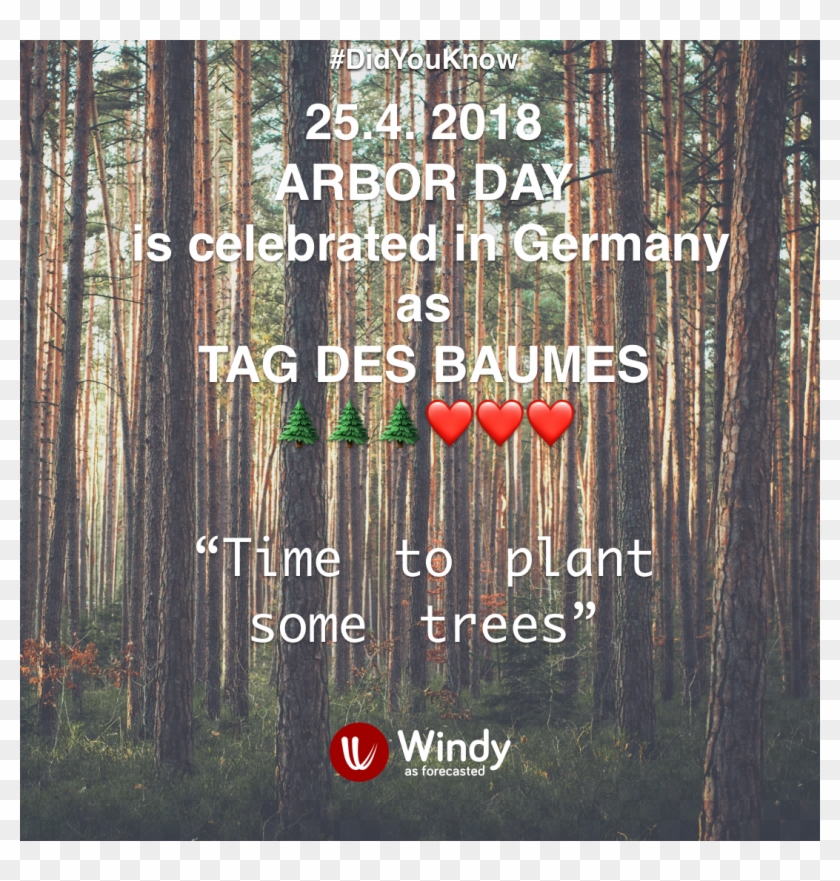 25 Apr - Tree Clipart #921922