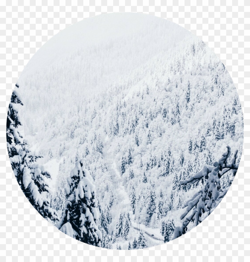 Winter Christmas Snow Forest Aesthetic Background - Aesthetic Snow Background Clipart