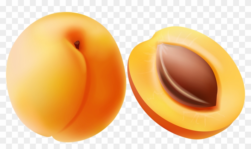 Clip Art Image Of Apricot - Png Download