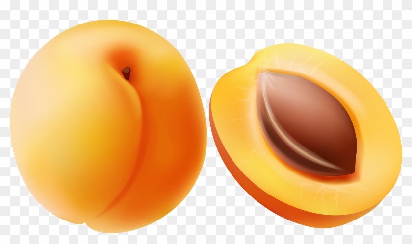 Clip Art Image Of Apricot - Png Download #924038