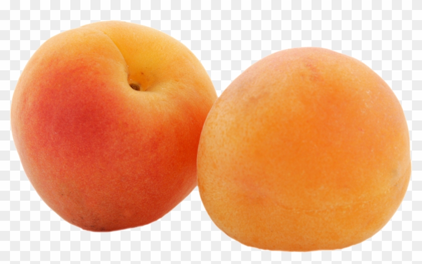 Apricot - Apricot Fruit Png Clipart #924095