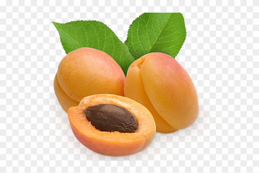 Kayısıpng Clipart